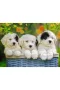 127658 Cuddly Puppies 200 parça XXL Ravensburger Puzzle