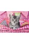 129850 Cute Kitty 100 parça XXL Ravensburger Puzzle