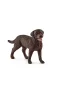 13834 Schleich - Dişi Labrador Retriever  +3 yaş