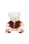 1510 Ekose Elbiseli Peluş Ayı 45 cm -Sunman
