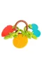 30302 BABYZZ RENKLİ MEYVE DİŞLİK