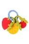 30302 BABYZZ RENKLİ MEYVE DİŞLİK