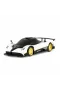 38110  Uzaktan Kumandalı Pagani Zonda R Araba 35 cm 1:14
