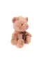 4770 Peluş Ayı Kurdelalı 45 cm -Sunman