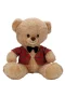 4810 SUN-JNH-PFF-SK PELUŞ AYI ELBİSELİ 32CM 2A