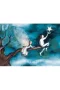 5222 Art Puzzle Kuzey Yıldızı 1000 Parça