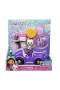 6062145 Gabbys Dollhouse Pandy Paws ve Carlita Araba