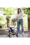 7600741403 Baby Balade Tricycle Beige