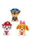 79552 SUN-HTI-SBR-PELUŞ PAW PATROL LIL BODZ VALENTINES 28CM PAW 3A