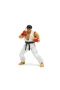 9334215314R00 Street Fighter II Ryu 6 Figure