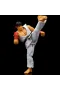 9334215314R00 Street Fighter II Ryu 6 Figure
