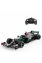 98500  Mercedes AMG F1 W11 EQ Performance Uzaktan Kumandalı Araba 1:18 -Sunman