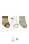 Bistyle 3lü Penye Rainbow Soket Çorap Bs10113 Nil