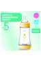Chicco Perfect 5 Antikolik Biberon PP 240 ml Boy
