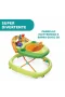 Chicco Walky Talky Baby Yürüteç Green