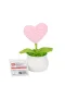 FL-7 12Lİ Kroşe Örgü Saksıda Kalp -Birliktoys