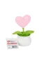 FL-7 12Lİ Kroşe Örgü Saksıda Kalp -Birliktoys