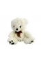 Halley Patılı Ayı 30 Cm Pl62263