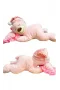 Halley Peluş Uyuyan Ayı 35 Cm 50152
