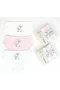 Katamino Tavisan 3lü Kız Slip Set K128668 Karışık Renk