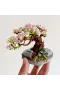 LZ1661 LOZ Eternal Flowers Serisi - Pembe Sakura Kiraz Ağacı 426 Parça Yapım Seti