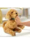 MYJ00101 My Fuzzie Friends Sevimli Labrador Moji - 18207