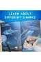 NAT07002 National Geographic Köpek Balığı Bulma Kiti - TRHAMSHDIG +6 yaş