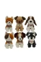 PDT260333-8-5-4 26CM PELUŞ 6 ASORTİ 26 CM HAYVANLAR(Belirtilen fiyat, tekli satış için adet fiyatıdır.)