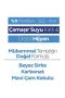 Sleepy Premium Yüzey Temizlik Havlusu 100 Adet Çamaşır Suyu
