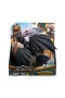 SPM-6072591 Ses Efektli Dragons