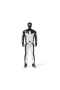 SPM-6073189 SUPERMAN FİLM KOLEKSİYONU 12 FİGÜR ASORTİLİ