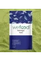 Wefood Moringa Tozu 100 Gr