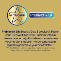 Bebelac Gold Bebek Devam Sütü No2 350 Gr