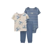 Carters Layette Erkek Bebek 3Lü Set 1P599410 Karışık Renkli