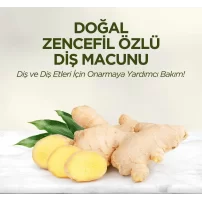 Eyüp Sabri Tuncer Doğal Diş Macunu 90 Gr Zencefil Özlü