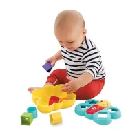 Fisher Price Şekil Eşleştirme Arkadaşı Kelebek CDC22