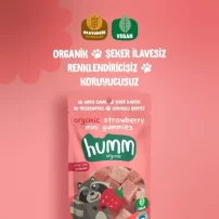 Humm Organik Çilekli Glutensiz Vegan Mini Küpler 30 Gr