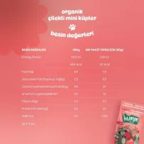 Humm Organik Çilekli Glutensiz Vegan Mini Küpler 30 Gr