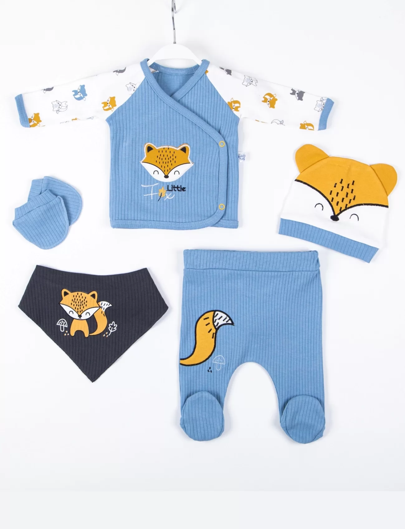 3 Ay Bebek Hastane Çıkışı Little Fox Nakışlı 5li Erkek Mavi