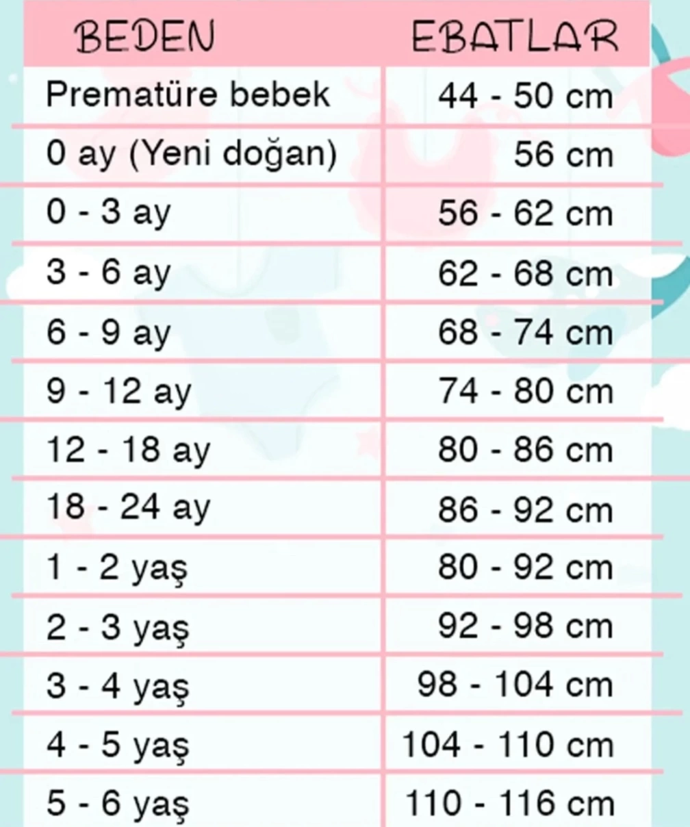 Çiçekli Araba Nakışlı Dantelli 5li Kız Bebek Hastane Çıkışı 0-3 Ay Su Yeşili