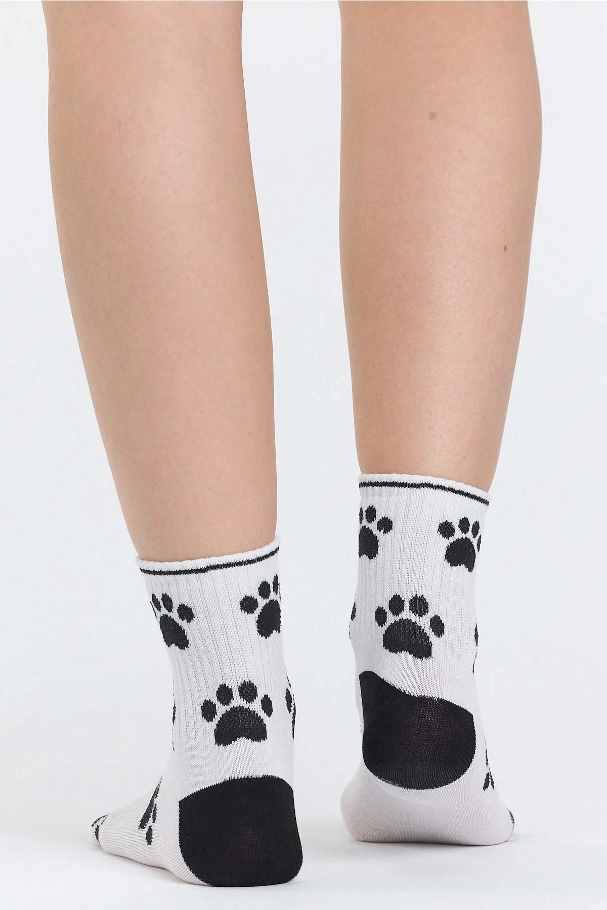 4lü Rock Star Ayı Desenli Çorap Seti