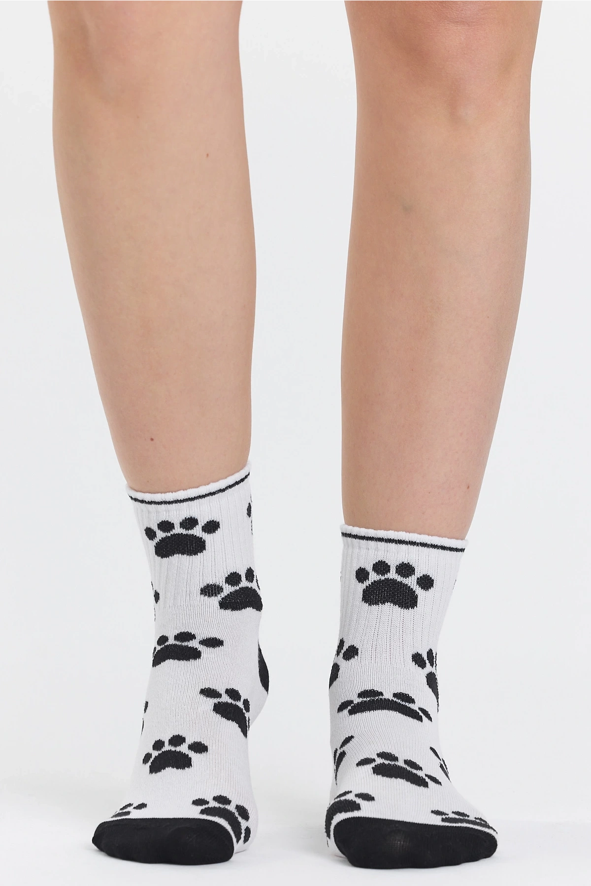 4lü Rock Star Ayı Desenli Çorap Seti