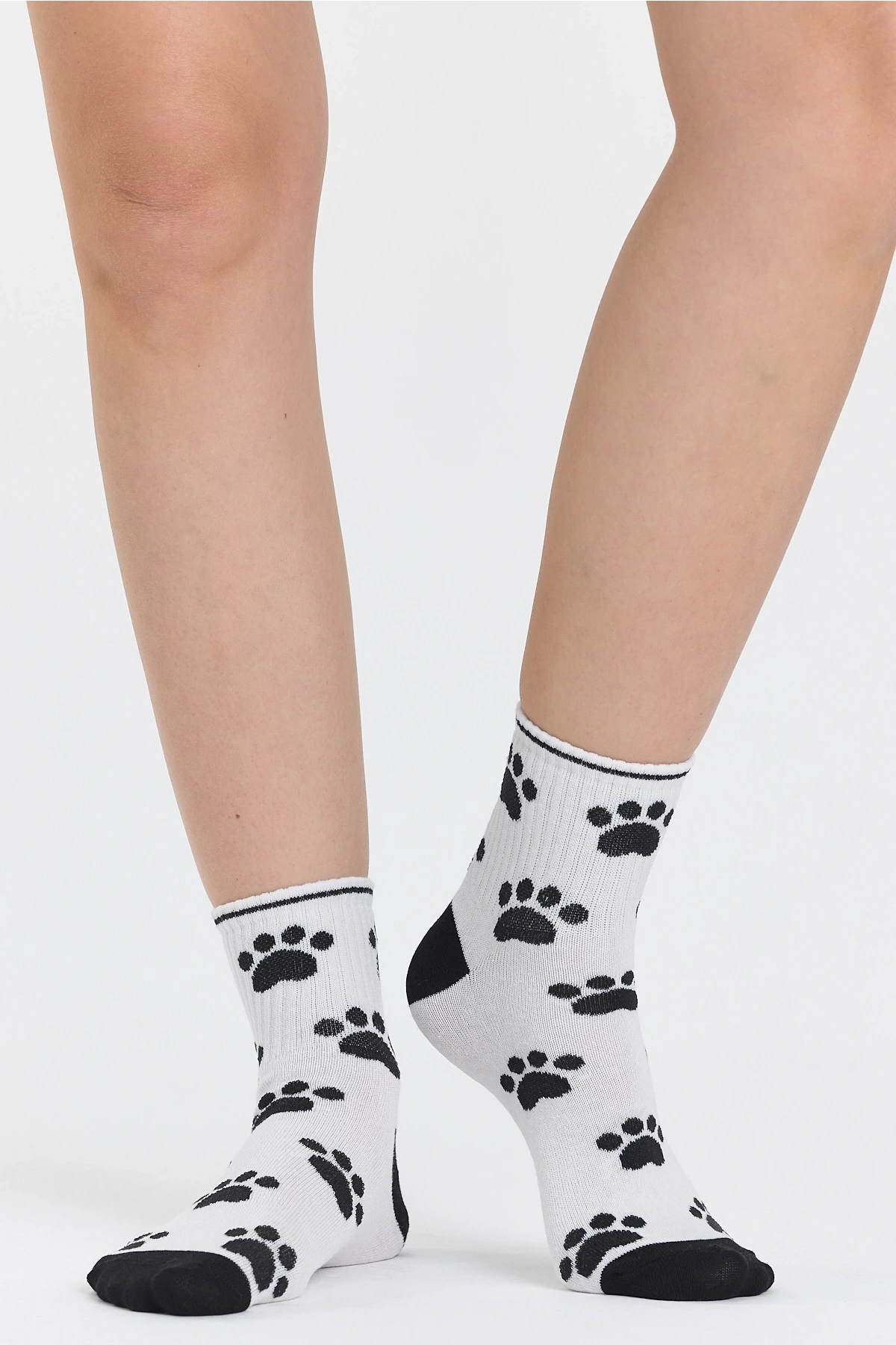 4lü Rock Star Ayı Desenli Çorap Seti