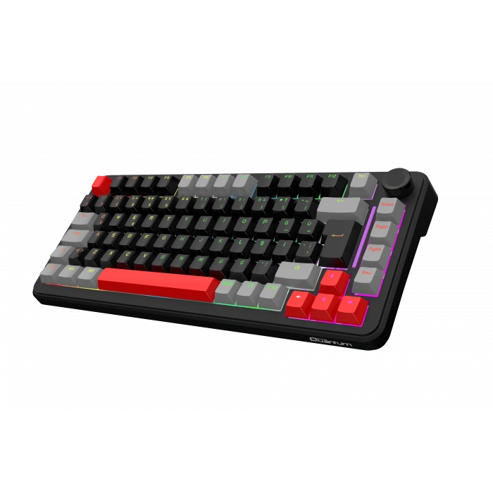 QUANTUM MECHACORE Kablolu USB Q Trk RGB Gaming Klavye