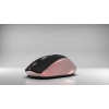 INCA IWM-396GT Kablosuz 1600dpi Gold Mouse