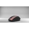 INCA IWM-396ST Kablosuz 1600dpi Gold Mouse