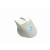 QUANTUM AERO Kablosuz + Bluetooth 4800dpi Mouse