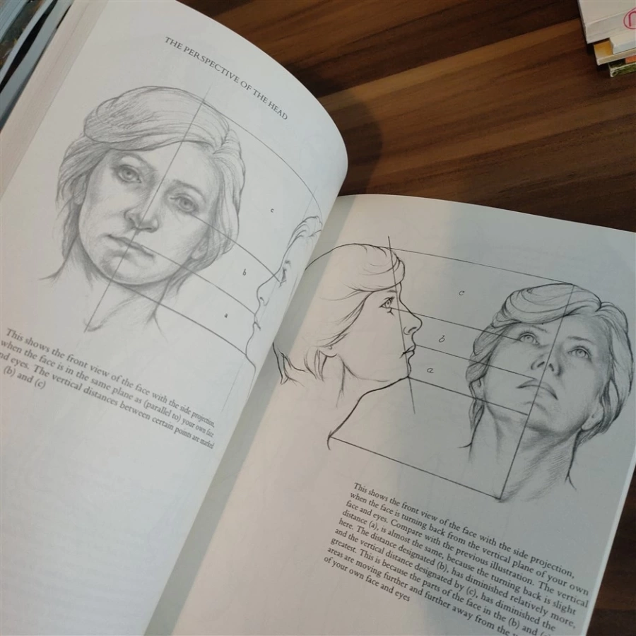 How to Draw the Human Figure: An Anatomical Approach - Louise Gordon