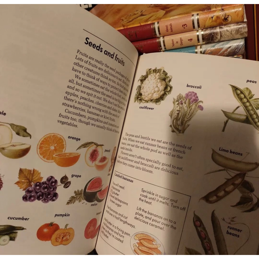 Childcraft the how and why library 16 cilt tak m 