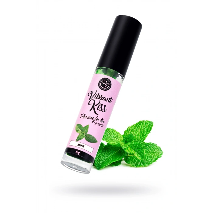 VipMarketim SECRET PLAY Dudak Parlatıcı Nane Aromalı, 6 gr